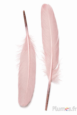 Cigno seta - 25-30 cm - rosa crema
